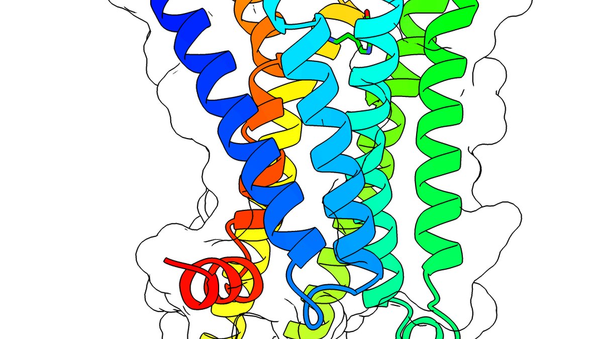 Panacea Technologies — the interconnected peptide synthesis, preservation and delivery inventions of Bogdan Dicoias at Panacea Bio Chem